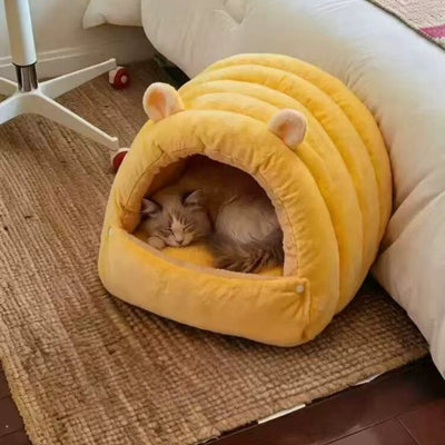 Photo client : chat endormi dans la maison posée sur un tapis