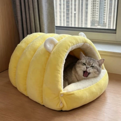 Photo client : chat qui bâille dans la maison, devant la fenêtre