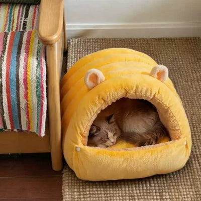 Photo client : chat roux endormi dans la maison, près d'une chaise