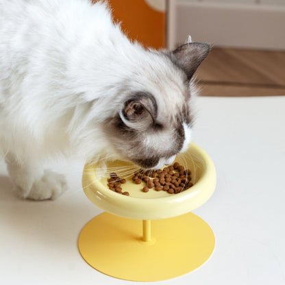 Chat à poil long qui mange ses croquettes dans la gamelle surélevée