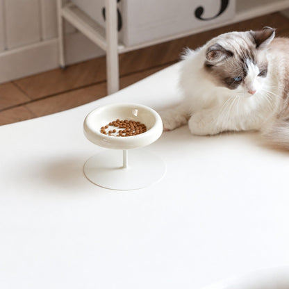Chat couché près de sa gamelle surélevée remplie de croquettes