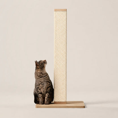Griffoir colonne en sisal sur socle en bois, un chat assis à côté