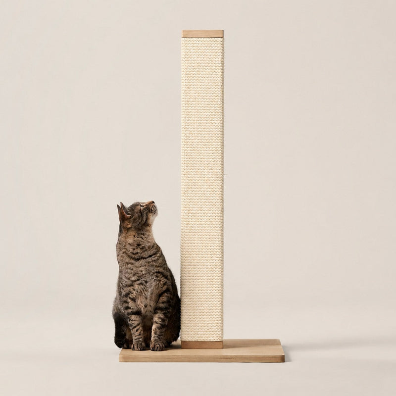 Griffoir colonne en sisal sur socle en bois, un chat assis à côté