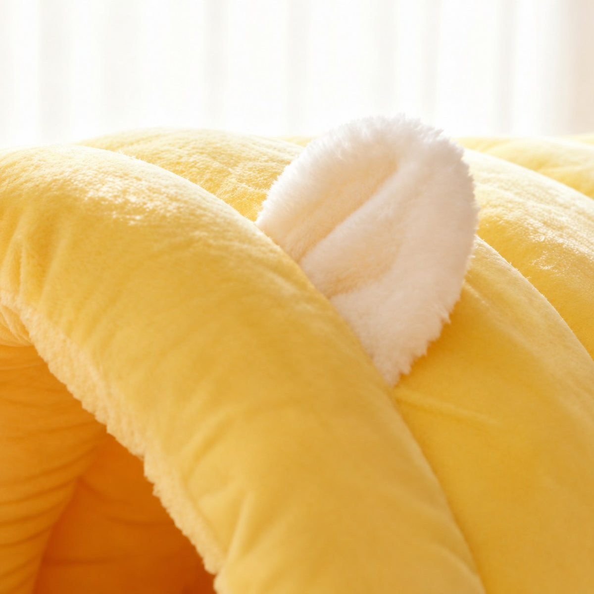 Gros plan sur la petite oreille et la peluche du toit