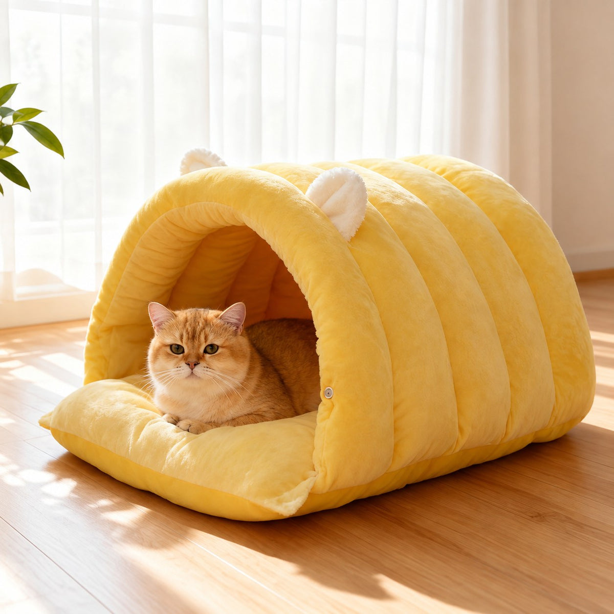 Large ouverture de la maison pour chat, coussin intérieur visible