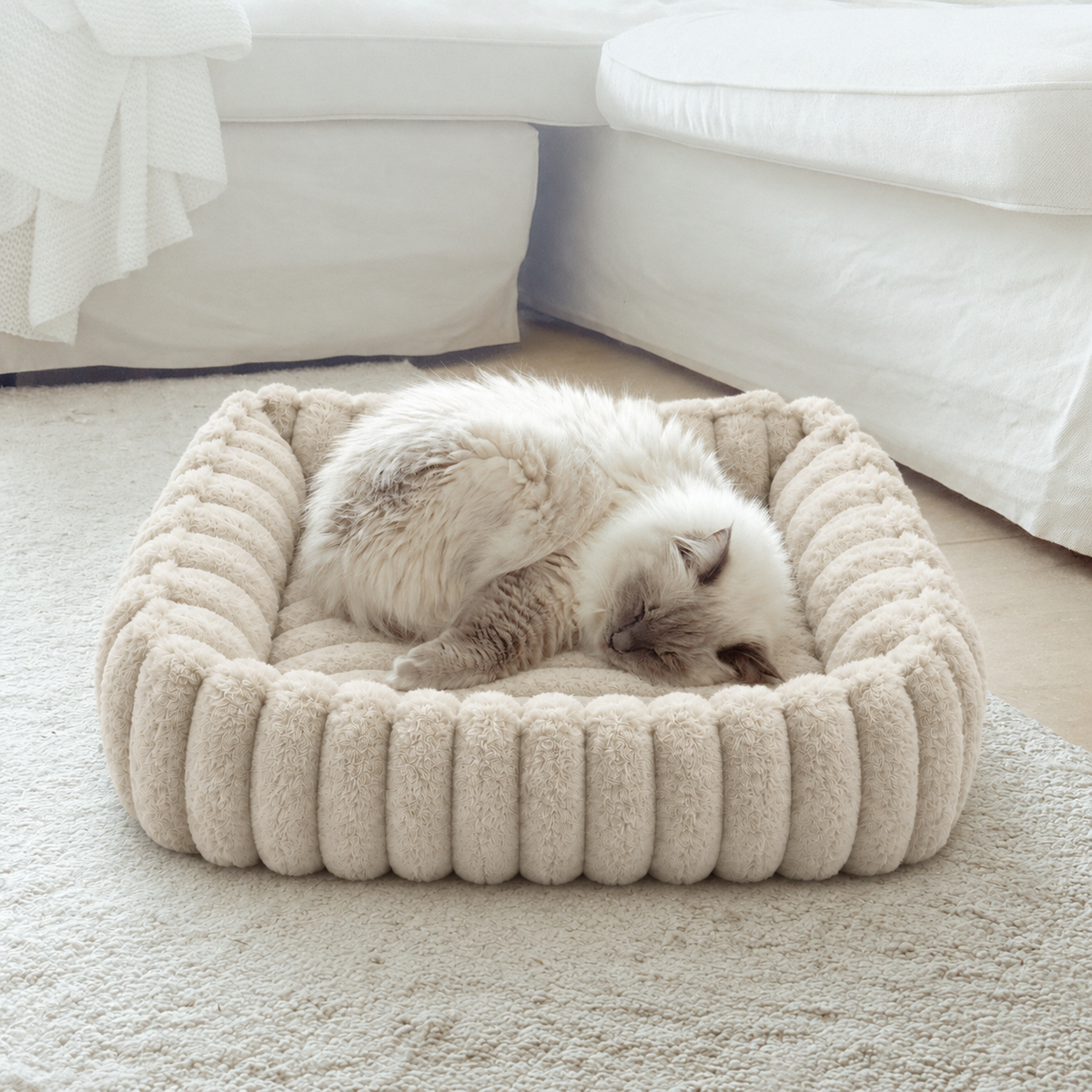Chat blanc endormi dans le panier moelleux crème ivoire, dans un salon