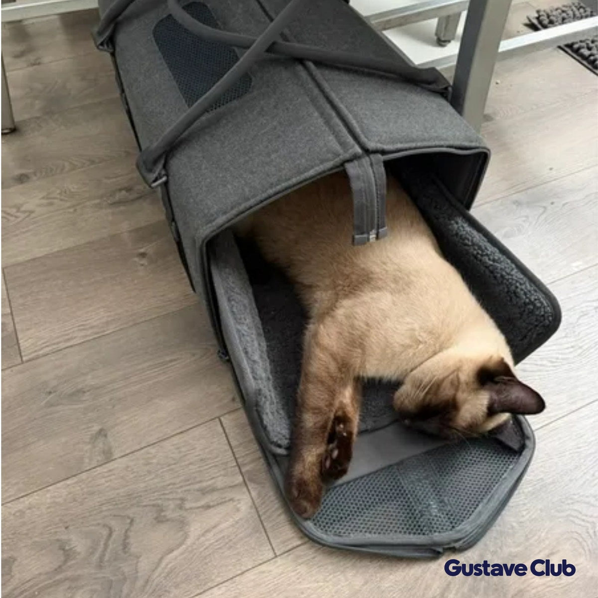 Chat siamois couché dans le sac de transport, porte dépliée à plat sur le sol