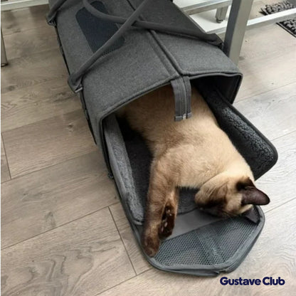 Chat siamois couché dans le sac de transport, porte dépliée à plat sur le sol